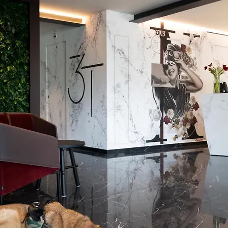 3t Boutique إيفريا